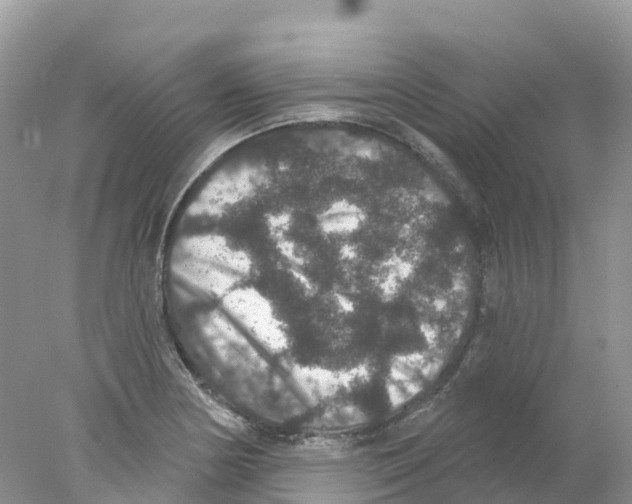 X0000078031178200611251548