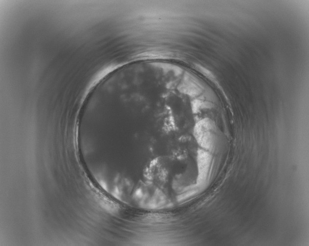 X0000078031179200611251548