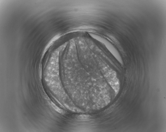 X0000078031180200611251548