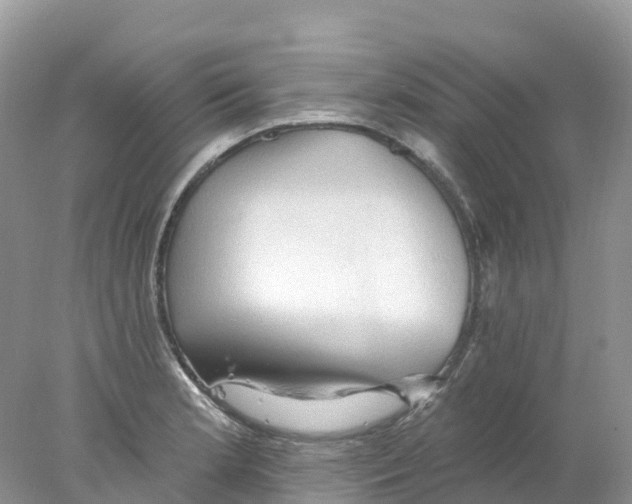 X0000078031181200611251548