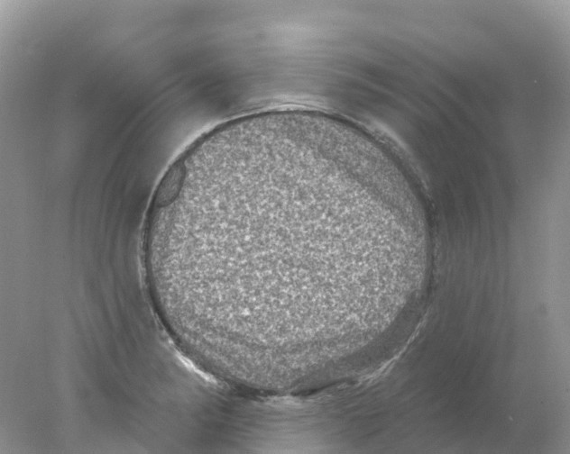 X0000078031182200611251548