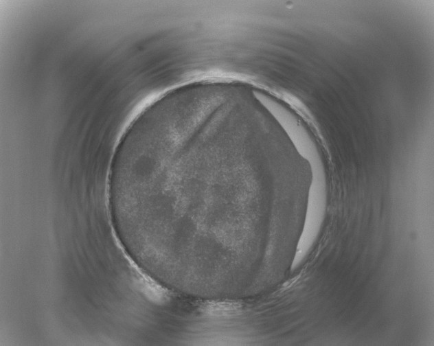 X0000078031183200611251548