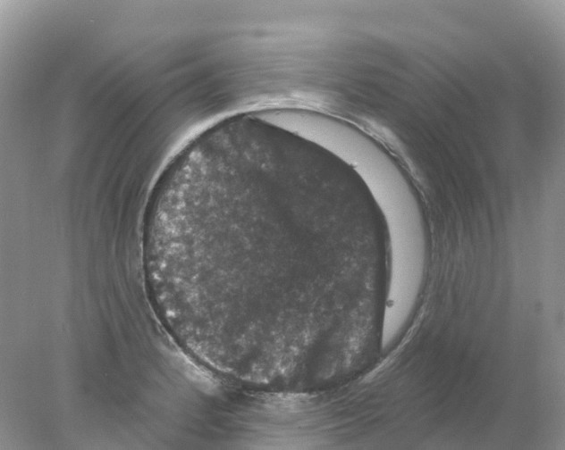 X0000078031184200611251548