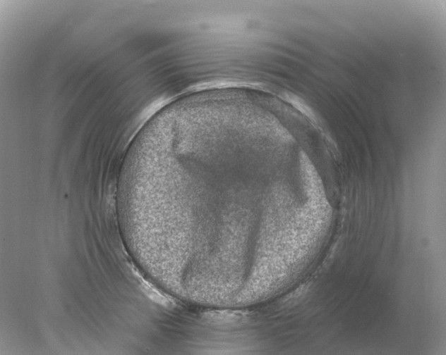 X0000078031185200611251548