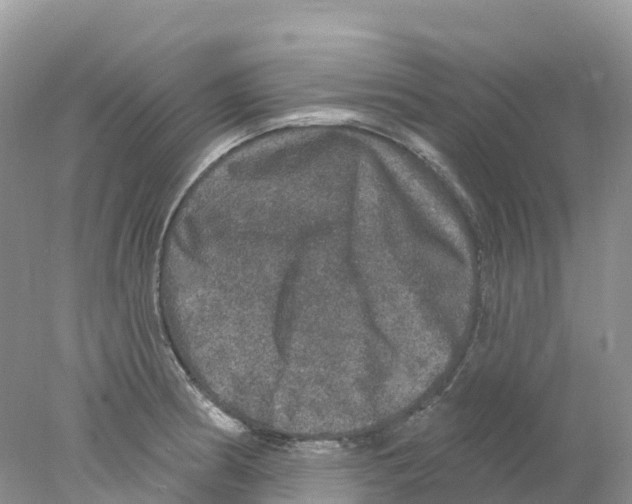 X0000078031186200611251548