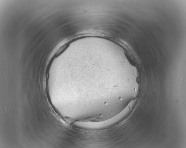 X0000078031188200611251547