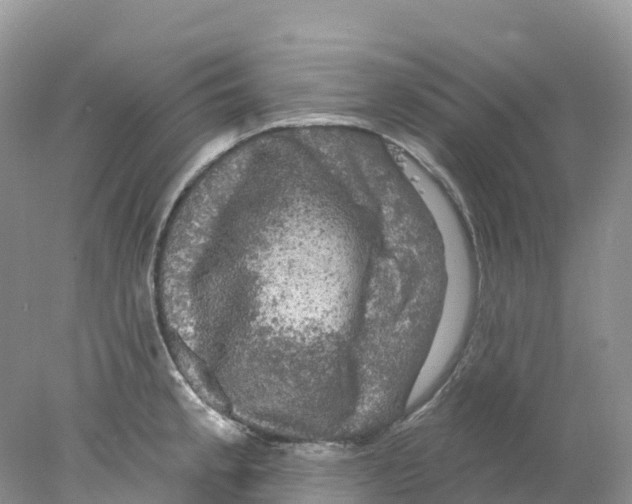 X0000078031189200611251547