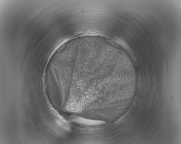 X0000078031190200611251547