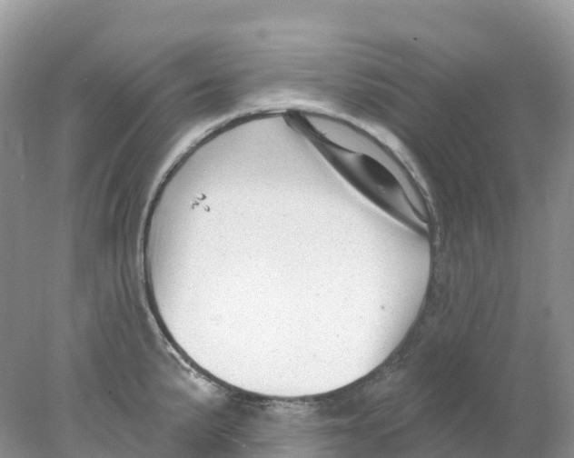 X0000078031191200611251547