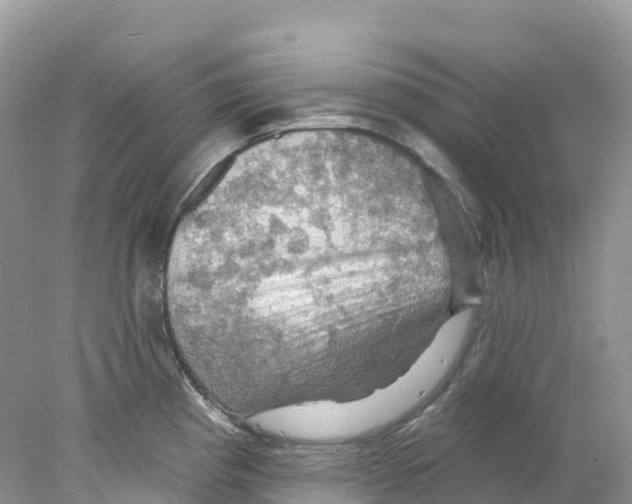 X0000078031193200611251547