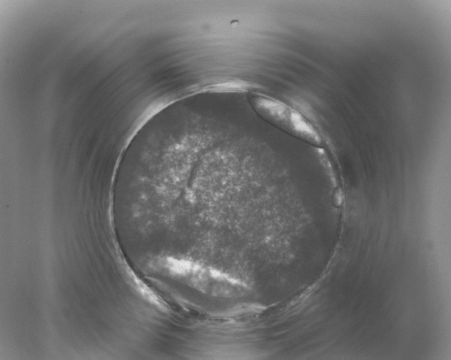 X0000078031194200611251547