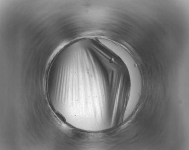 X0000078031196200611251547