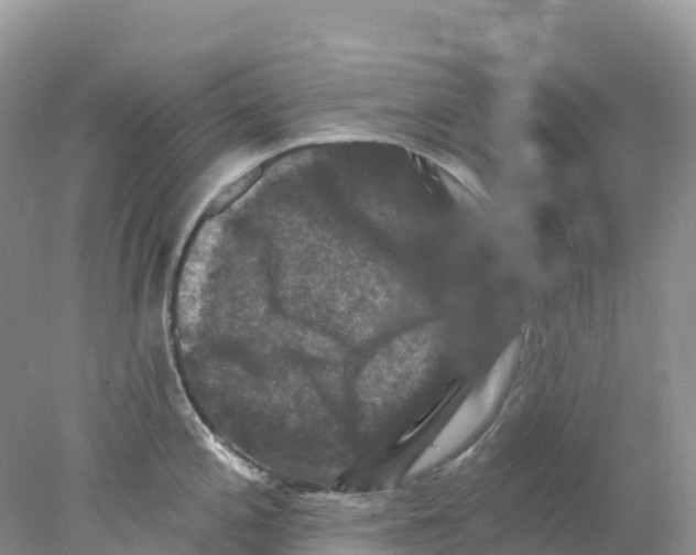 X0000078031197200611251547