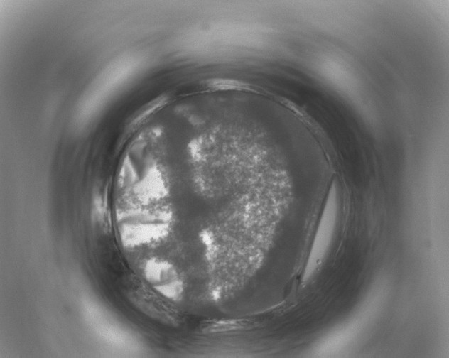 X0000078031198200611251547