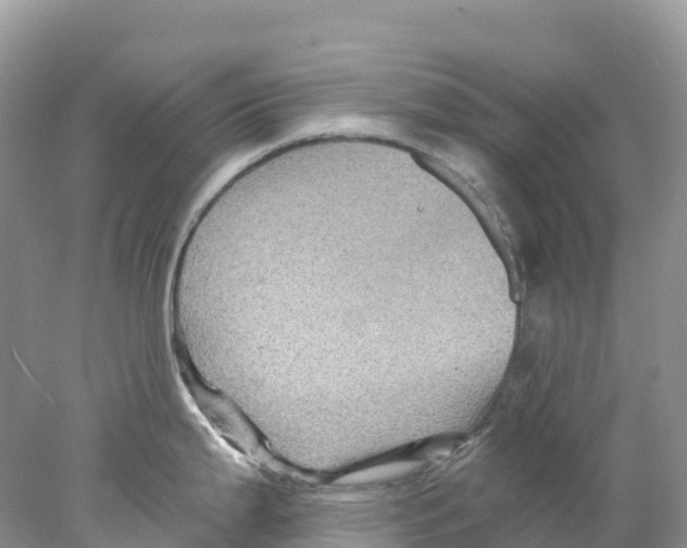 X0000078031199200611251547