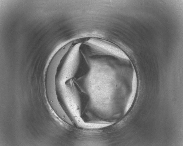 X0000078031200200611251547