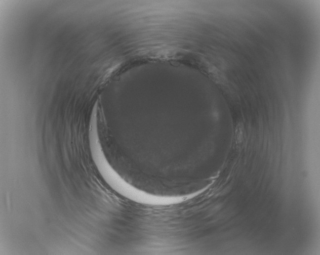 X0000078031202200611251546