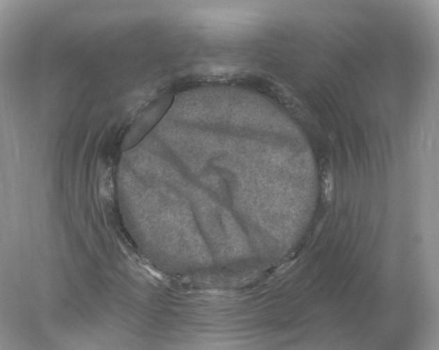 X0000078031204200611251547