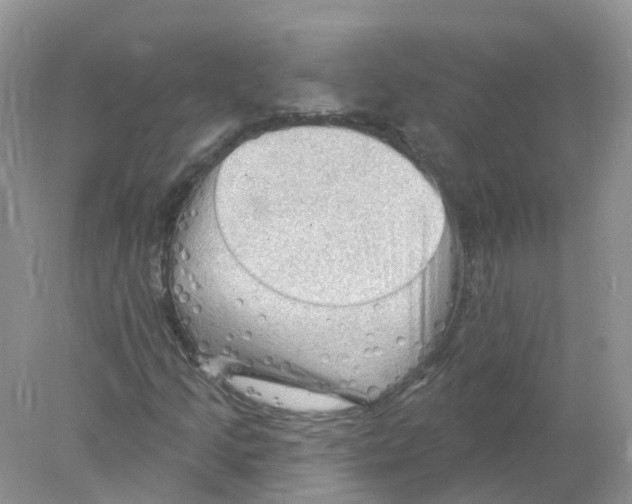 X0000078031205200611251547