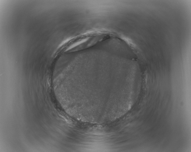 X0000078031206200611251547