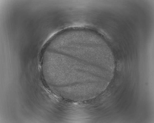 X0000078031208200611251547