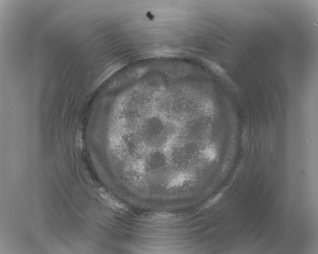 X0000078031209200611251547