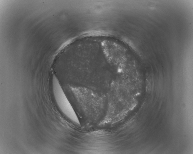 X0000078031213200611251547