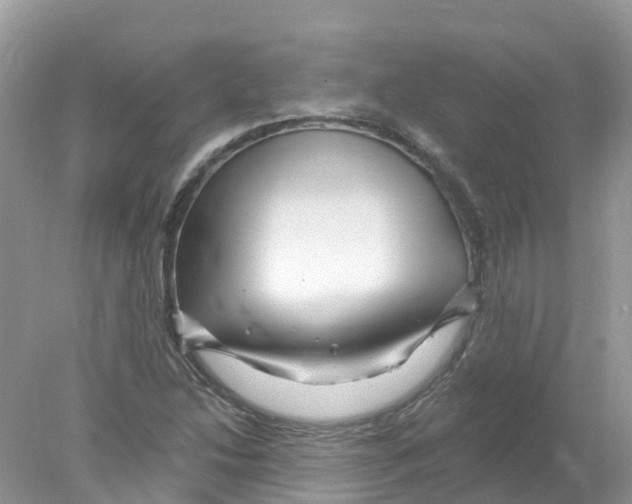 X0000078031214200611251547