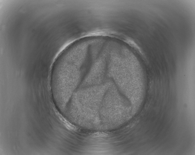 X0000078031216200611251547