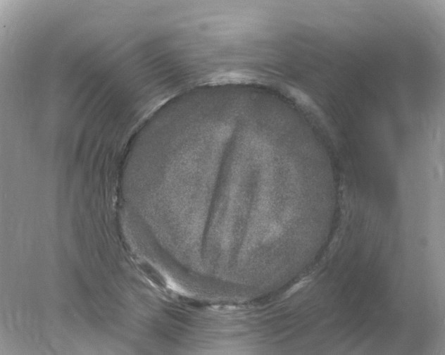 X0000078031217200611251547