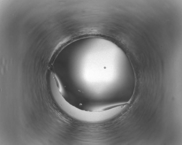 X0000078031218200611251547