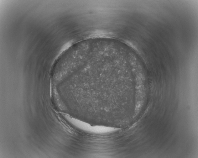 X0000078031219200611251547