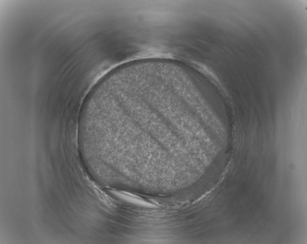 X0000078031220200611251547