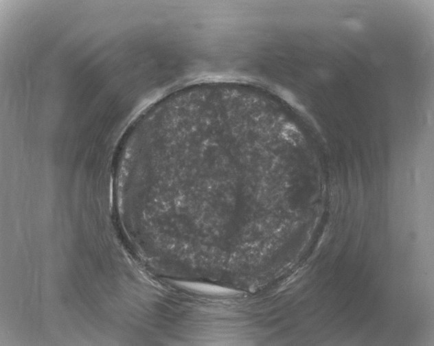 X0000078031221200611251547