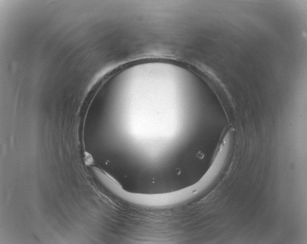 X0000078031222200611251547