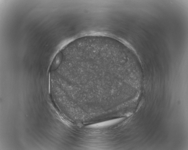 X0000078031223200611251547