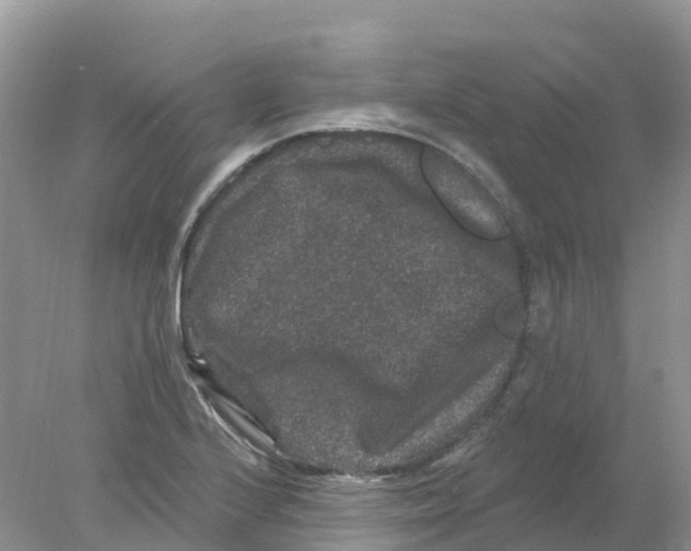 X0000078031224200611251547