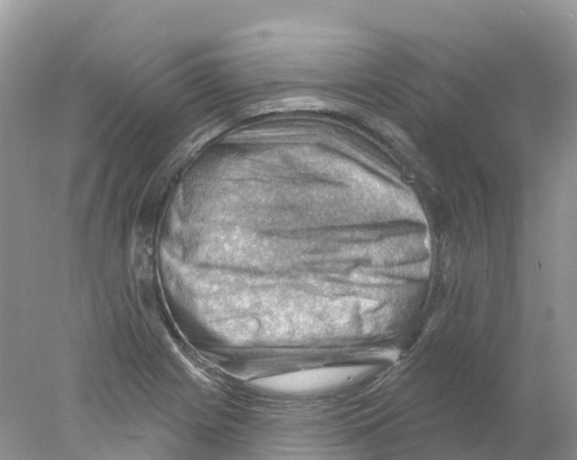 X0000078031225200611251547