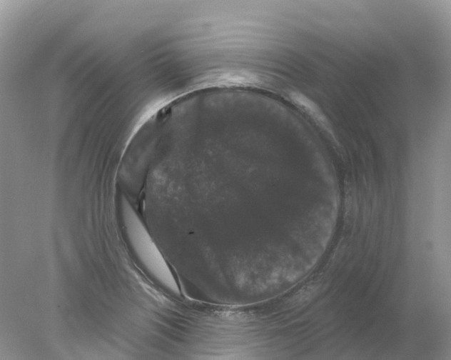 X0000078031226200611251547