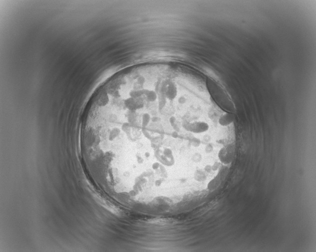 X0000078031227200611251547