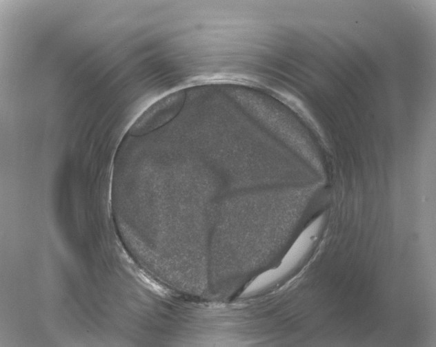 X0000078031228200611251547