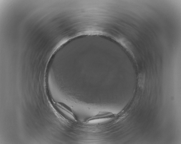 X0000078031229200611251547