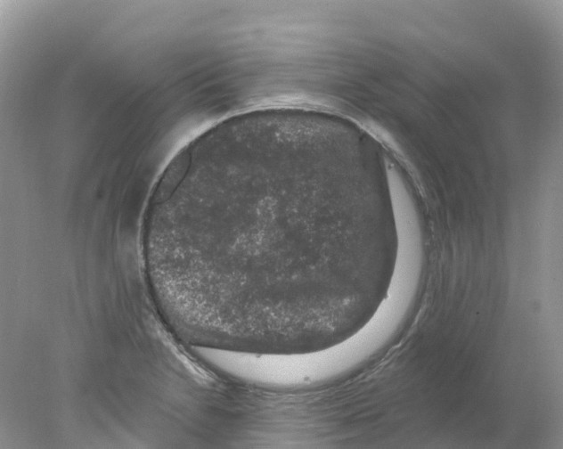 X0000078031230200611251547