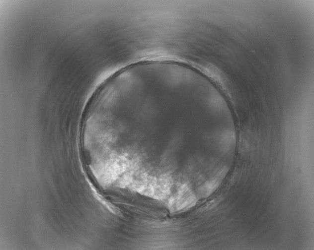 X0000078031231200611251547