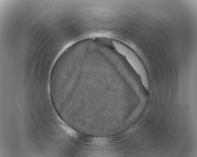 X0000078031232200611251547