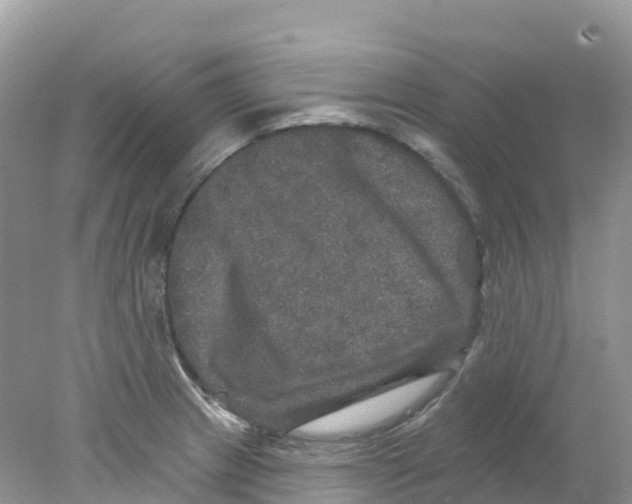 X0000078031233200611251547