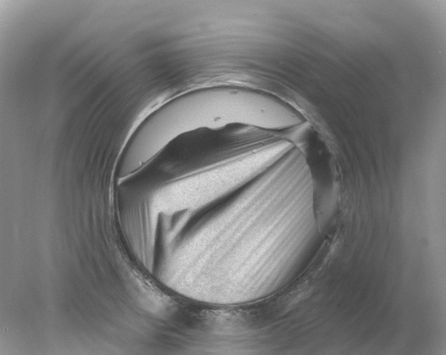 X0000078031234200611251547