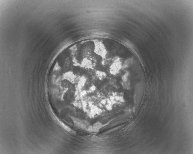 X0000078031235200611251547