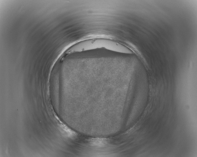 X0000078031236200611251547