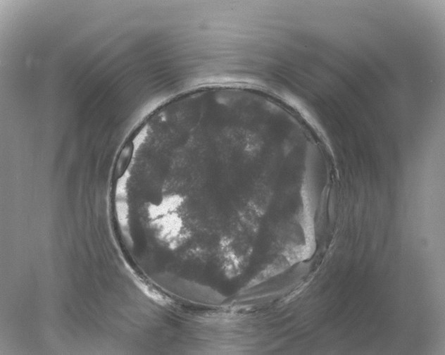 X0000078031237200611251547